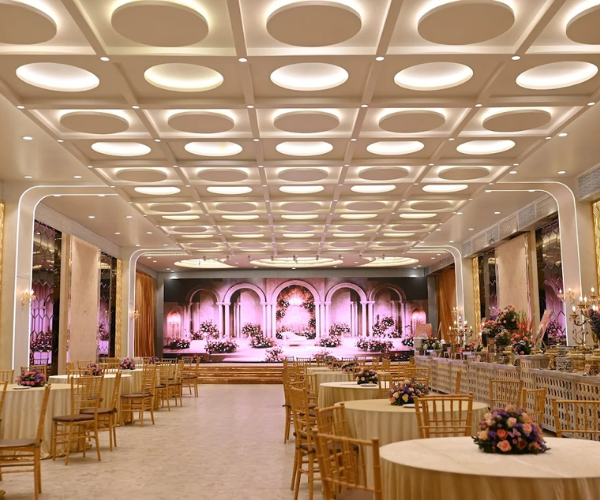 Main Gallery Image