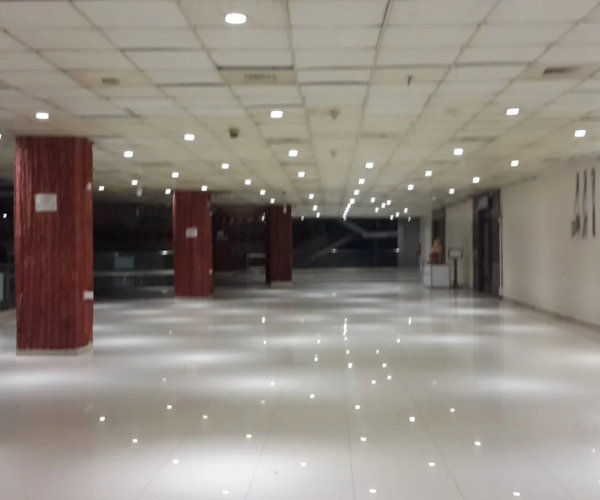 Main Gallery Image